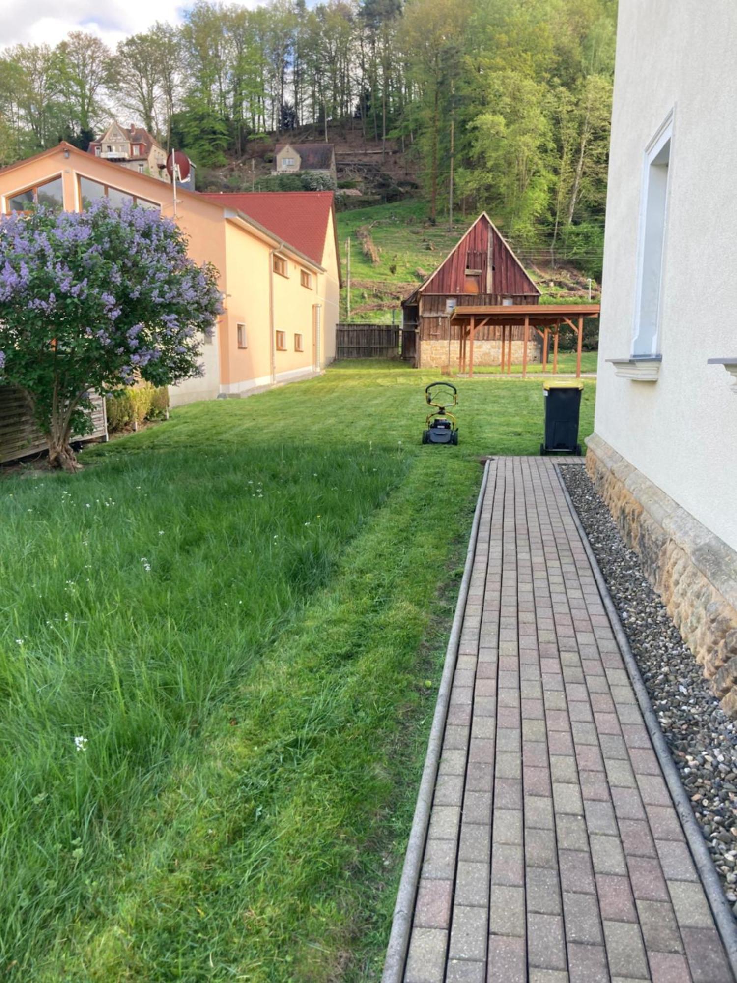Alles Gute Wehlen Stadt Wehlen Exterior foto